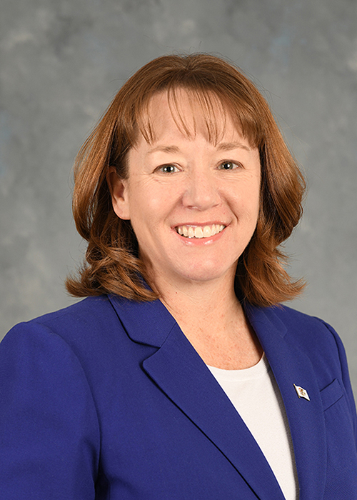 Photograph of Representative  Amy Elik (R)